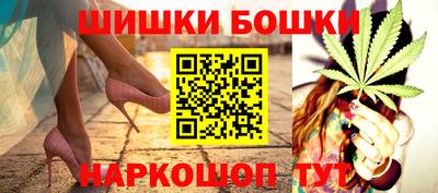 СК Сланцы