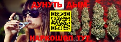 СК Сланцы