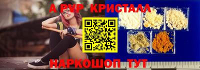 СК Сланцы