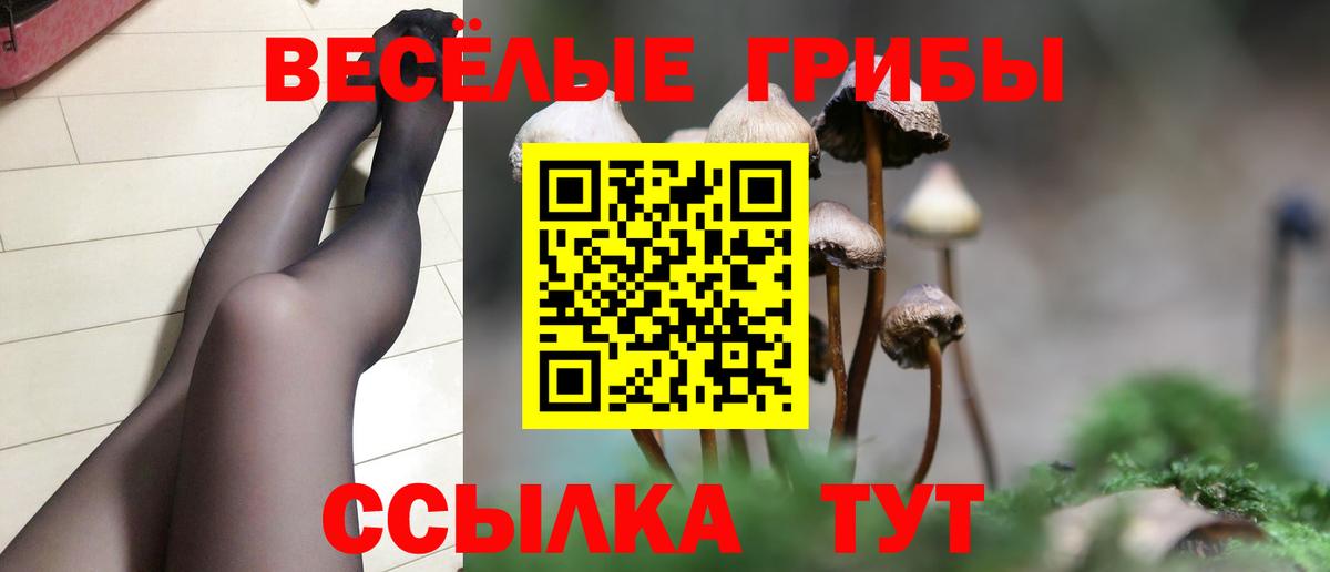 Пугачёв  Псилоцибиновые грибы прущие грибы  Вход с VPN 