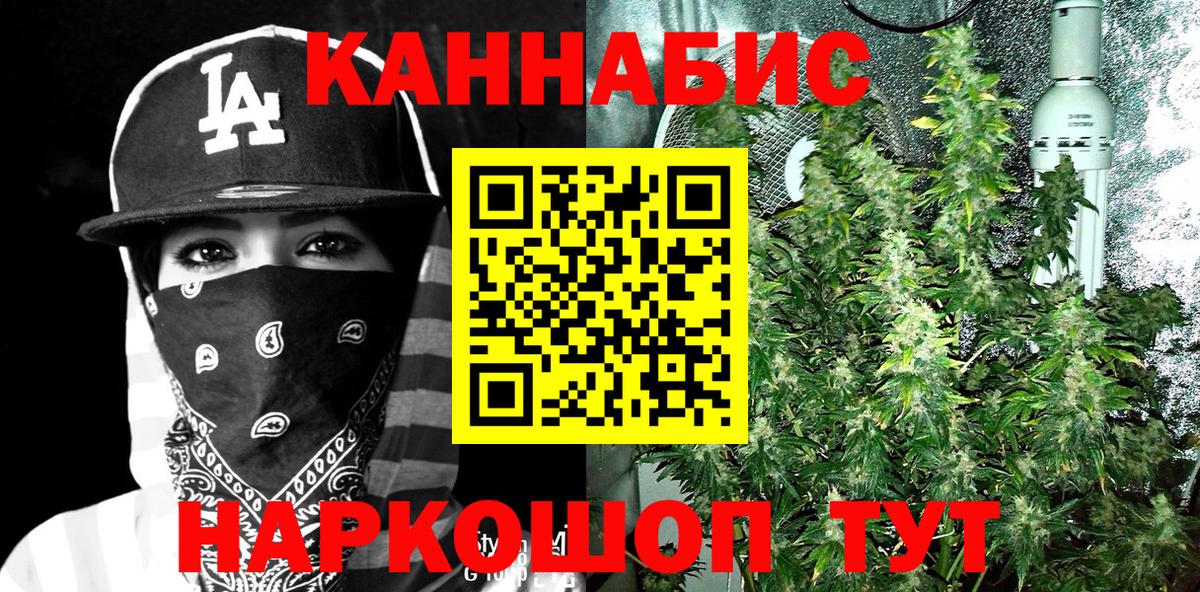 Шишки марихуана OG Kush  Вход с VPN  Каннабис план  Бошки Шишки Amnesia  Пугачёв 